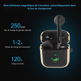 Wireless Bluetooth Earbuds