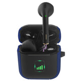 Wireless Bluetooth Earbuds